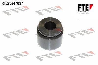 Πιστόνι, δαγκάνα φρένων