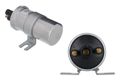 Πολλαπλασιαστής