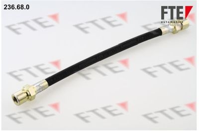 Ελαστικός σωλήνας φρένων