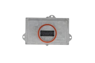 Εγκέφαλος, φωτισμός