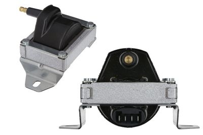 Πολλαπλασιαστής